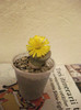 Picture 037