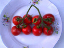 CHERRY GRANDE