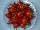 CHERRY GRANDE