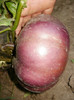P8307224