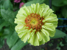 P7083092