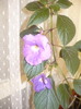 P1120225