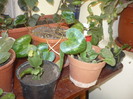 P1120237