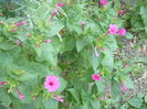 P1110758