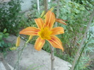 P1110759