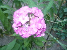 P1110826
