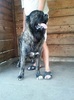 IMG_20120831_174840