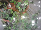 DSCN4508
