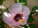 P1170950