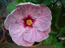 P1170955