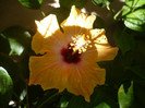 P1170957