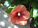 P1170960