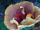 P1170965