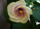 P1170967