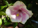 P1170970