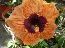 P1170972