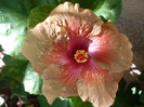 P1170975