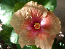 P1170977