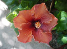 P1170983