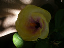 P1170985