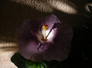 P1170987
