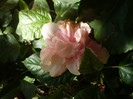 P1170989