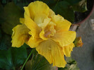 P1170990