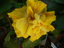 P1170991