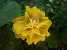 P1170993