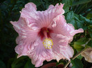 P1170995