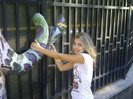 IMG-20120831-02839