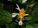 DSCN9104