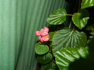 DSCN9117