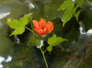 DSCN9120
