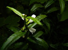 DSCN9135