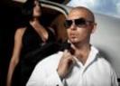 pitbull4