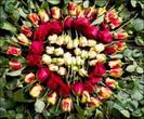 images (9)