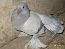 DSC00177