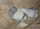 DSC00178
