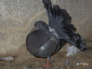 DSC00180