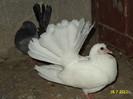 DSC00181
