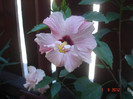 DSC05451
