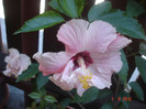 DSC05454
