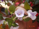 DSC05364