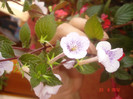 DSC05365