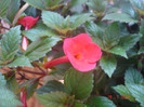 DSC05261