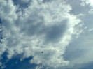 290820123884