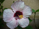 P1180011