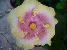 P1180013