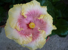 P1180014